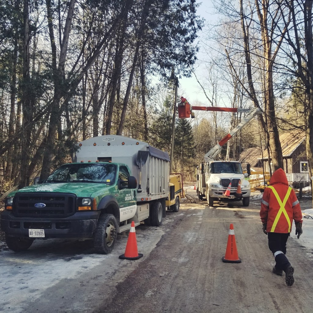 From The Ground Up Tree Services inc | 65 Maple Ave, Inglewood, ON L7C 1J5, Canada | Phone: (519) 217-1706