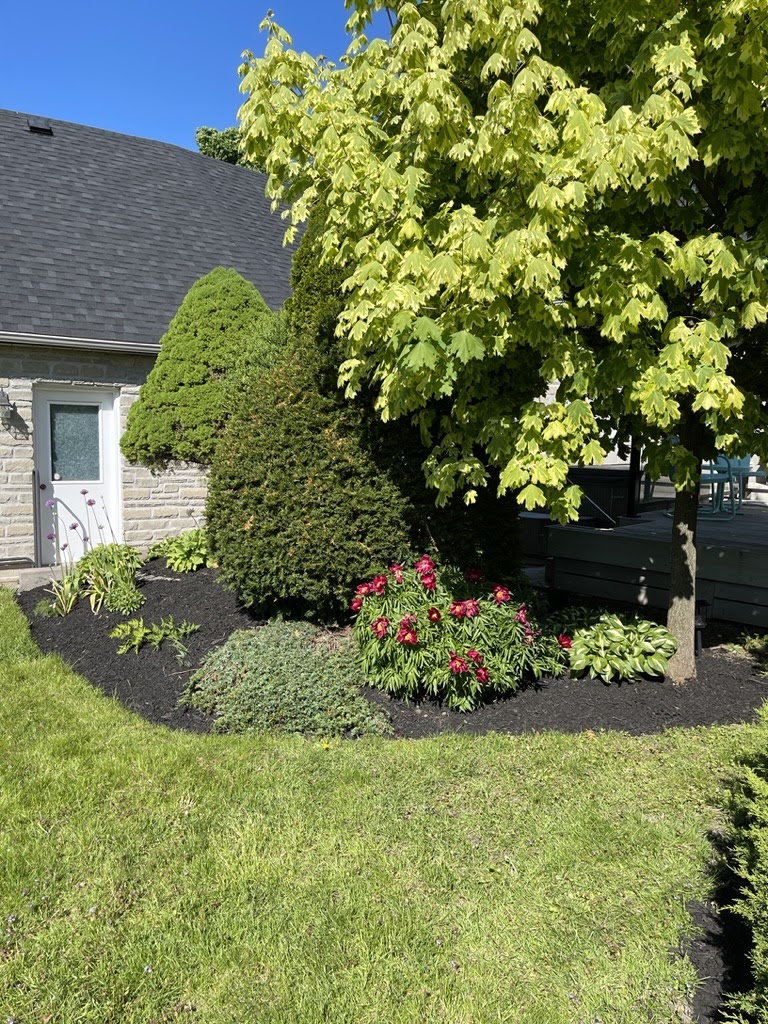 Graham Property Maintenance | 90 Avondale Rd, Belleville, ON K8P 4G3, Canada | Phone: (343) 261-9860