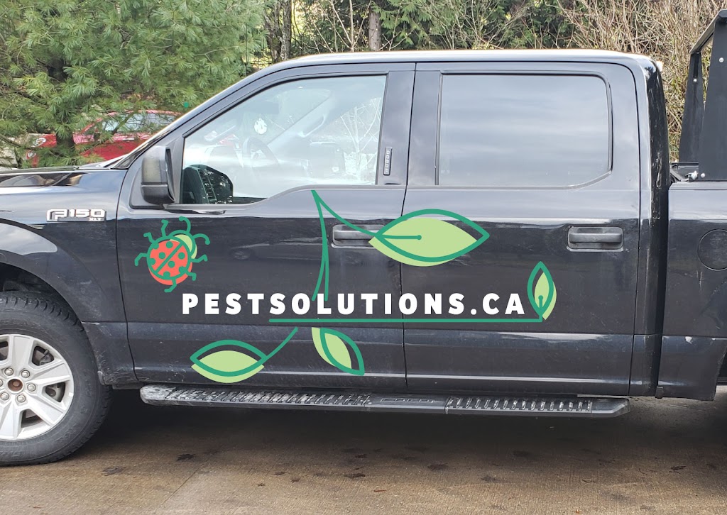 Solutions Pest Control | 2912 E 54th Ave, Vancouver, BC V5S 1Y5, Canada | Phone: (855) 858-9776