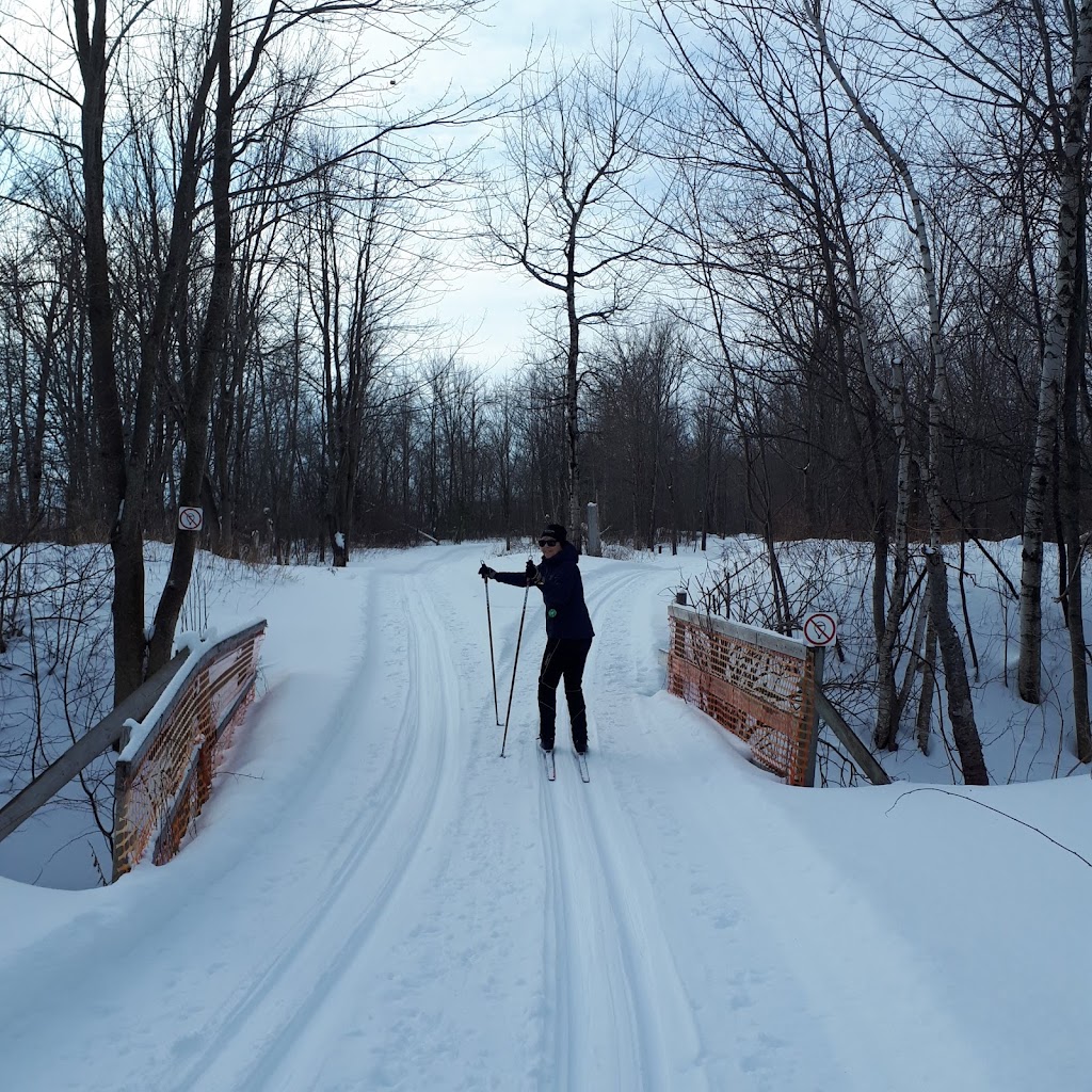 Sentiers de ski de fond Pierre Harvey | 1376 Rue des Érables, Saint-Lambert-de-Lauzon, QC G0S 2W0, Canada | Phone: (418) 889-1963