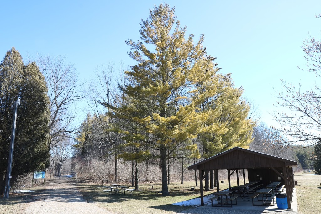 Dan Patterson Conservation Area | 44014 Mapleton Line, St. Thomas, ON N5P 3T3, Canada | Phone: (519) 631-1270