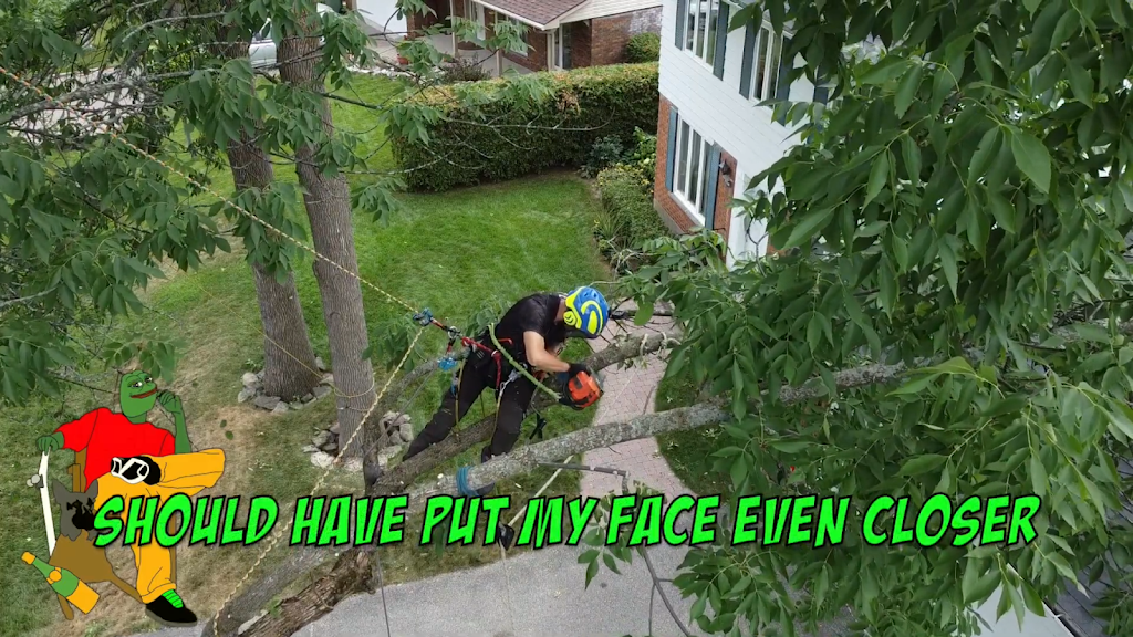 OLIVERS TREE SERVICE | 80 Rue des Pionniers, LÎle-Perrot, QC J7V 8W2, Canada | Phone: (438) 927-5378