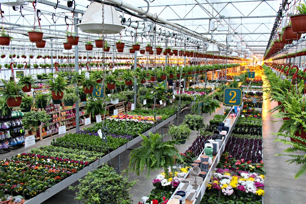 Devan Greenhouses | 28904 Fraser Hwy, Abbotsford, BC V4X 1G8, Canada | Phone: (604) 857-4944