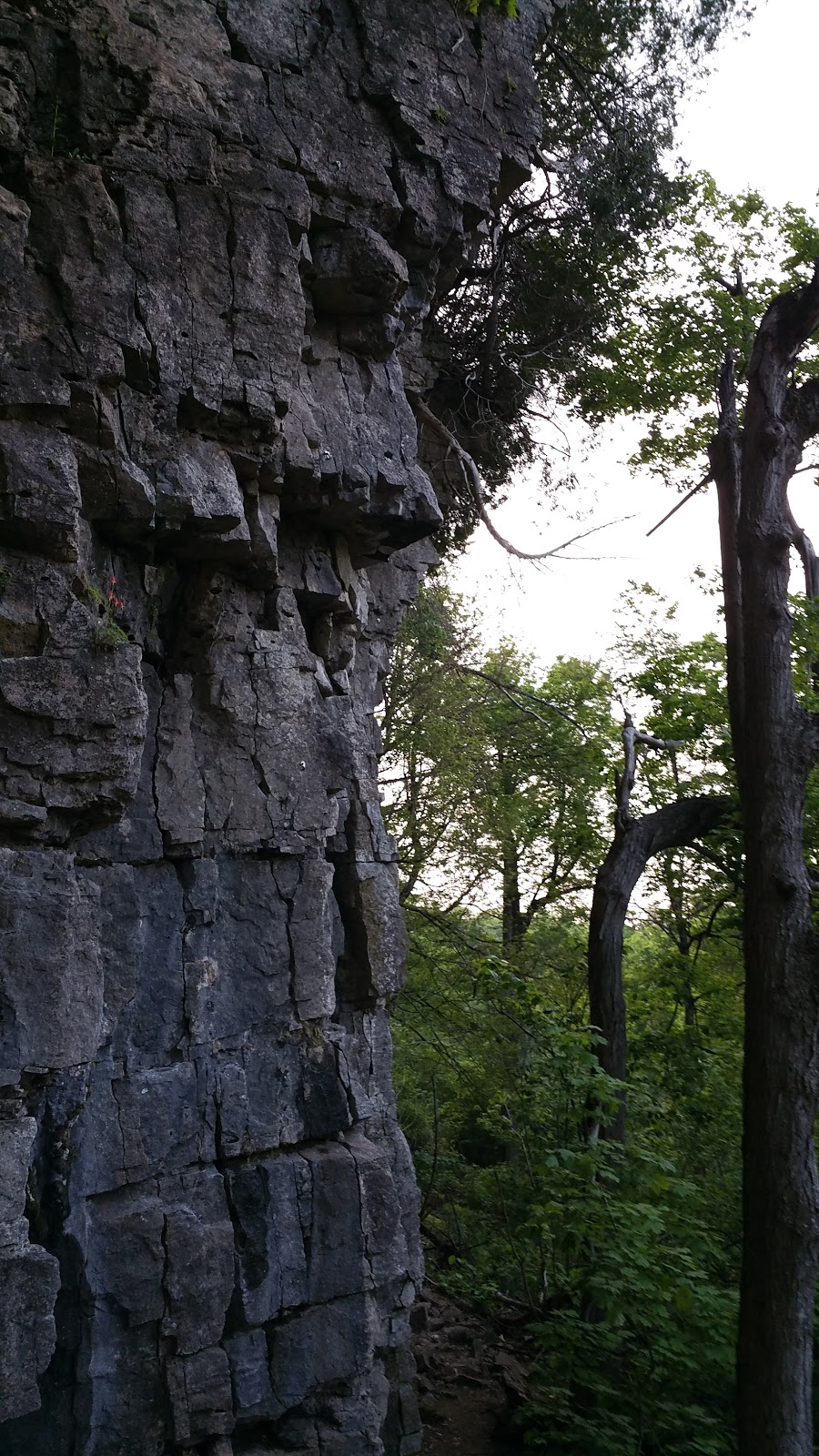 The Turtle Climbing Crag | Burlington, ON L7M 0T7, Canada | Phone: (905) 336-1158