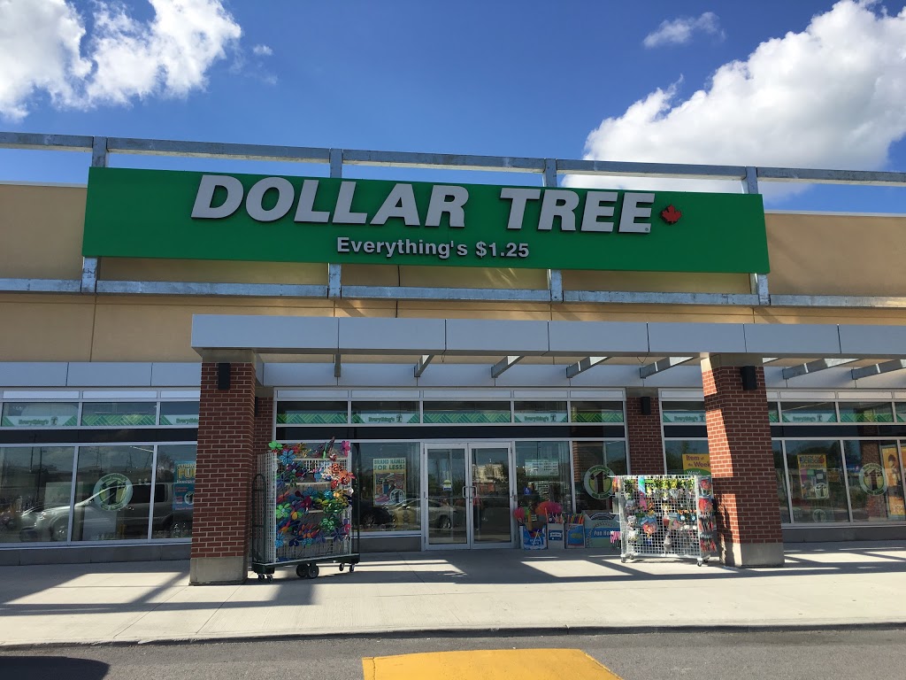 Dollar Tree | 5703 Hazeldean Rd #1, Stittsville, ON K2S 0P6, Canada | Phone: (613) 836-0060