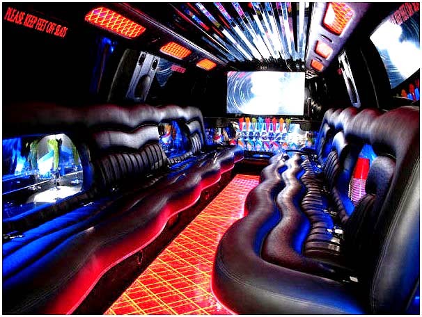 Leisure Limousine Mississauga | 6885 Davand Dr, Mississauga, ON L5T 1J5, Canada | Phone: (905) 488-3529