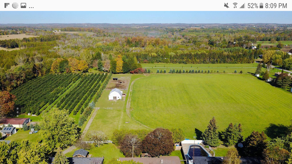 SLG Farm | 3378 Concession Rd 4, Clarington, ON L0B 1M0, Canada | Phone: (905) 925-3821