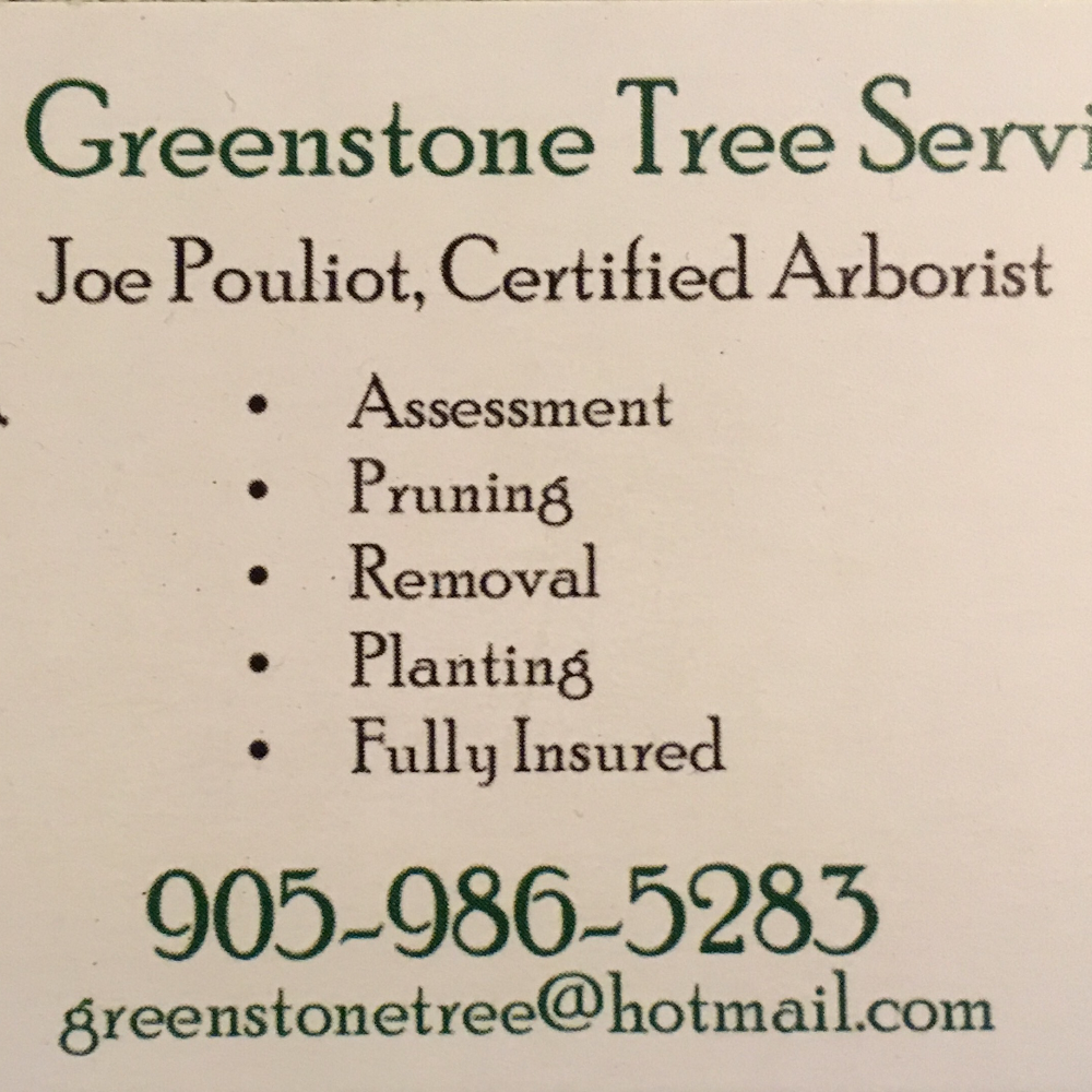 Greenstone Tree Service | 4015 ON-7A, Blackstock, ON L0B 1B0, Canada | Phone: (905) 986-5283