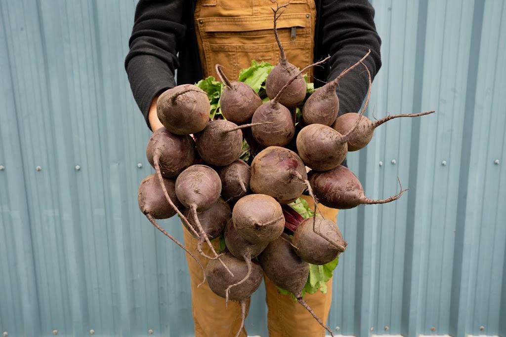 Salad Days Farm | 6794 6 Line, Belwood, ON N0B 1J0, Canada | Phone: (416) 770-1056