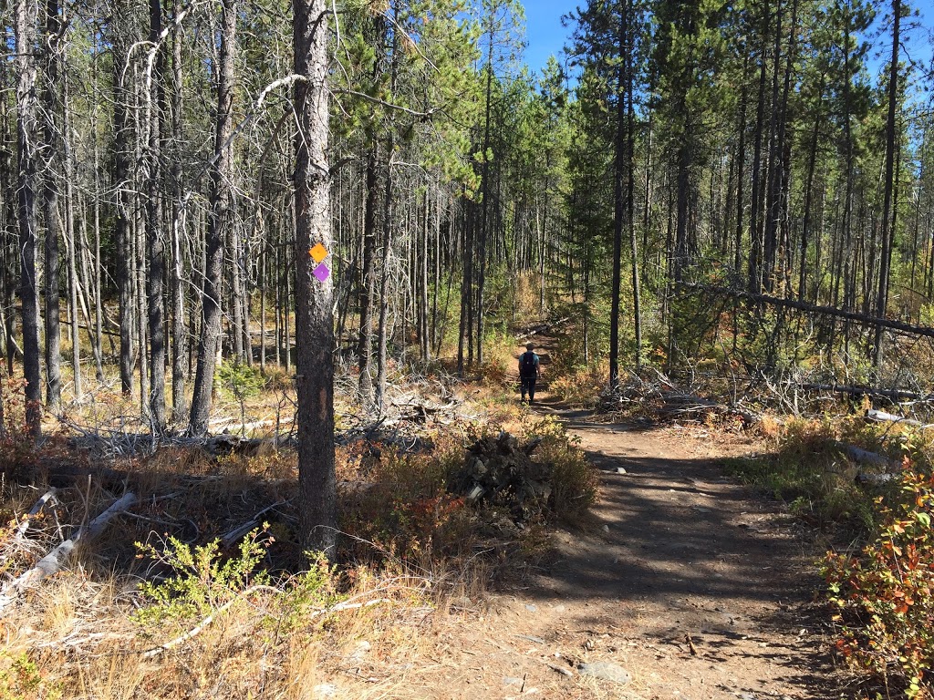 Rose Swanson Hiking Trails | Chamberlaine Rd, Armstrong, BC V0E 1B4, Canada