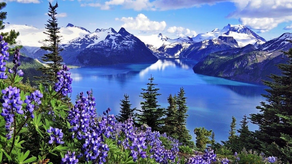 Garibaldi Provincial Park | BC-99, Brackendale, BC V0N 1H0, Canada | Phone: (604) 986-9371