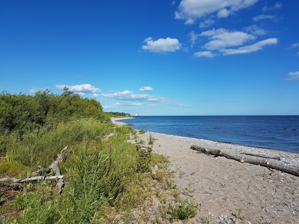 McLaughlin Bay Wildlife Reserve | 1908 Colonel Sam Dr, Oshawa, ON L1H 8W8, Canada | Phone: (905) 644-1689