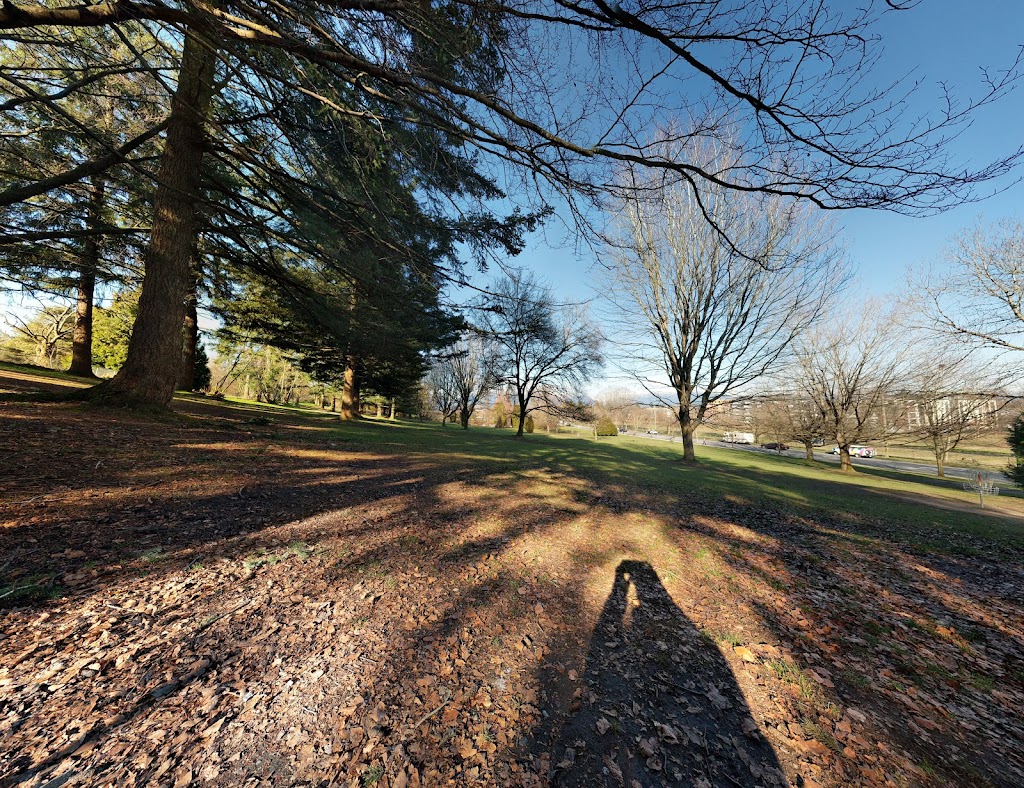 Queen Elizabeth Park Disc Golf Course | W 37th Ave, Vancouver, BC V6M 1P1, Canada | Phone: (604) 873-7000