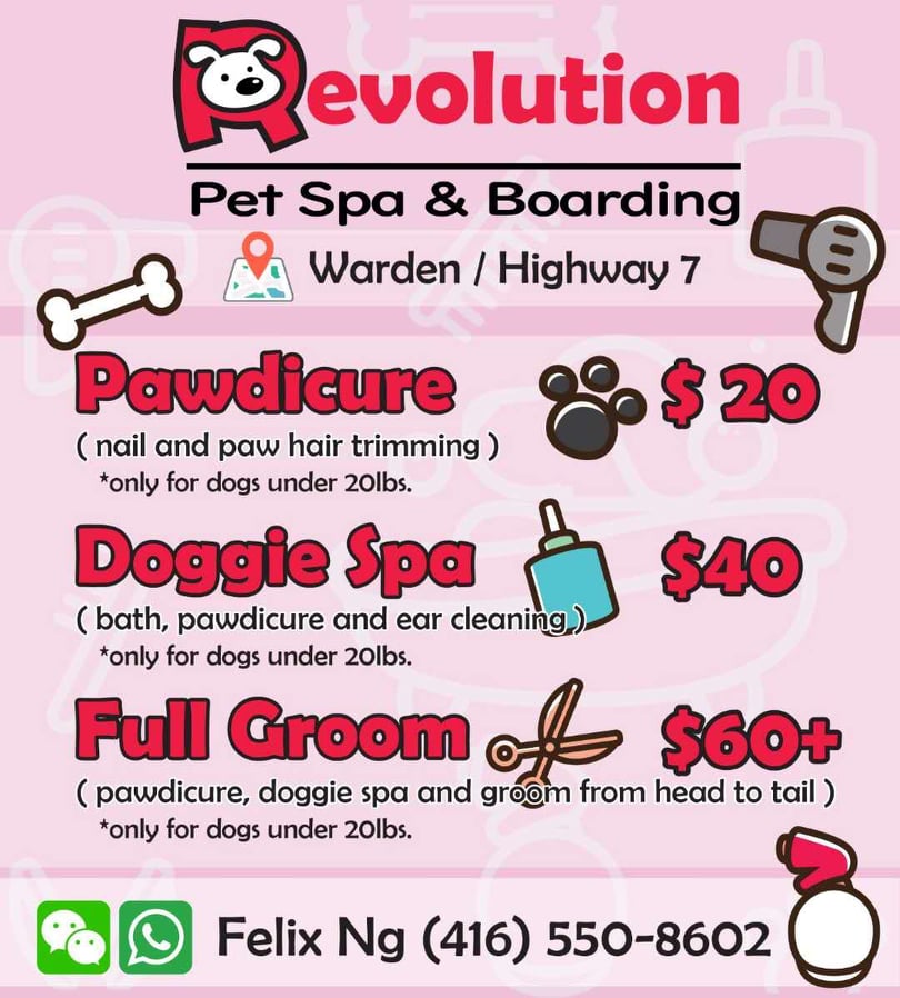 Revolution Pet Spa and Boarding | 8 Rouge Valley Dr W, Unionville, ON L6G 0G8, Canada | Phone: (416) 550-8602