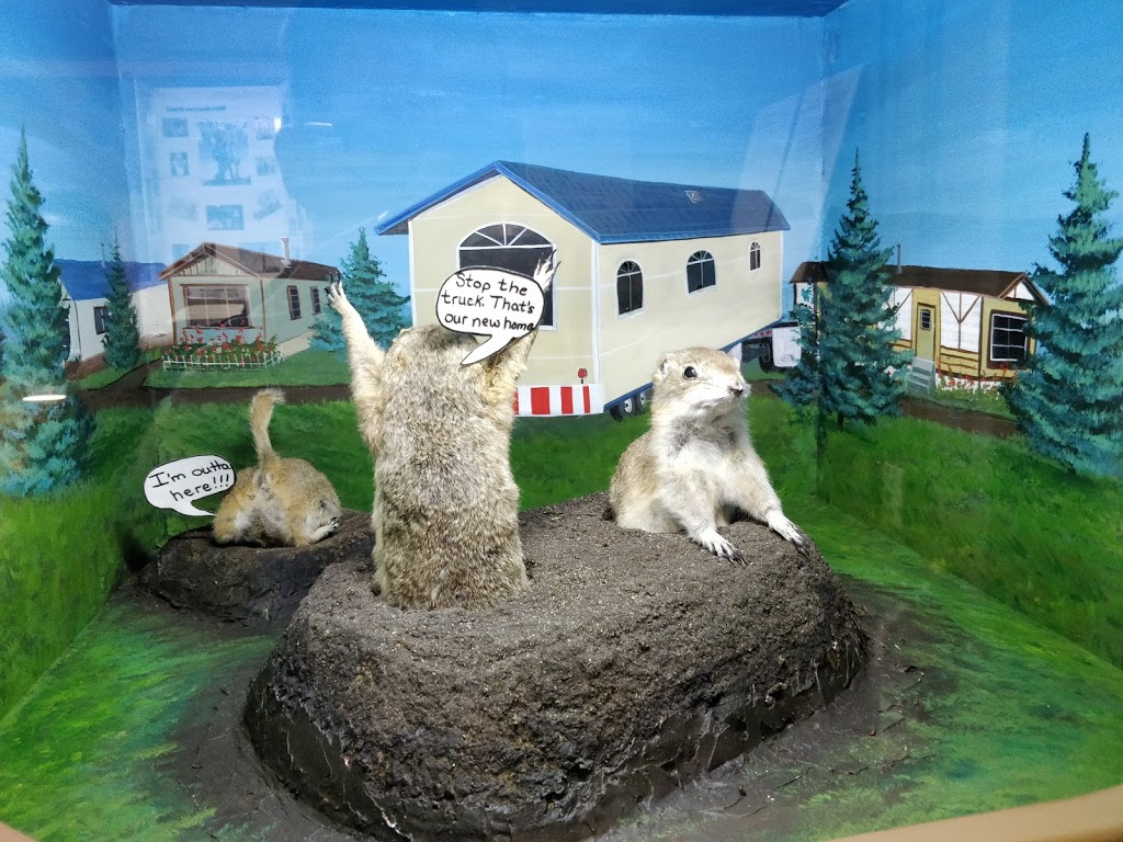 World Famous Gopher Hole Museum | 208 1 St SW, Torrington, AB T0M 2B0, Canada | Phone: (403) 631-2133