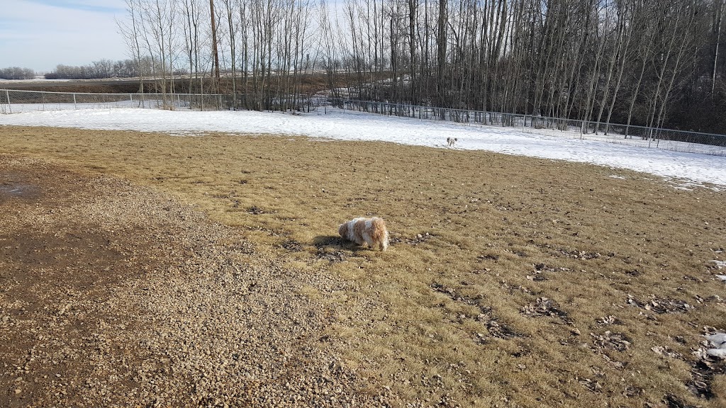 Cpl. Jim Galloway Memorial Off Leash Area | 41 Century Close, Spruce Grove, AB T7X 3B3, Canada