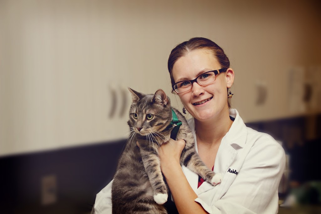 CBS Animal Hospital | 4 Coffee Creek Pl, Conception Bay South, NL A1W 0B6, Canada | Phone: (709) 240-2288