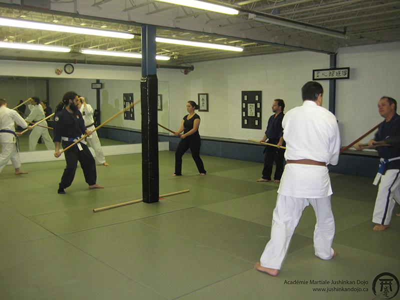 Jushinkan Dojo | 5575 Boulevard Maricourt, Saint-Hubert, QC J3Y 7M2, Canada | Phone: (514) 702-2836