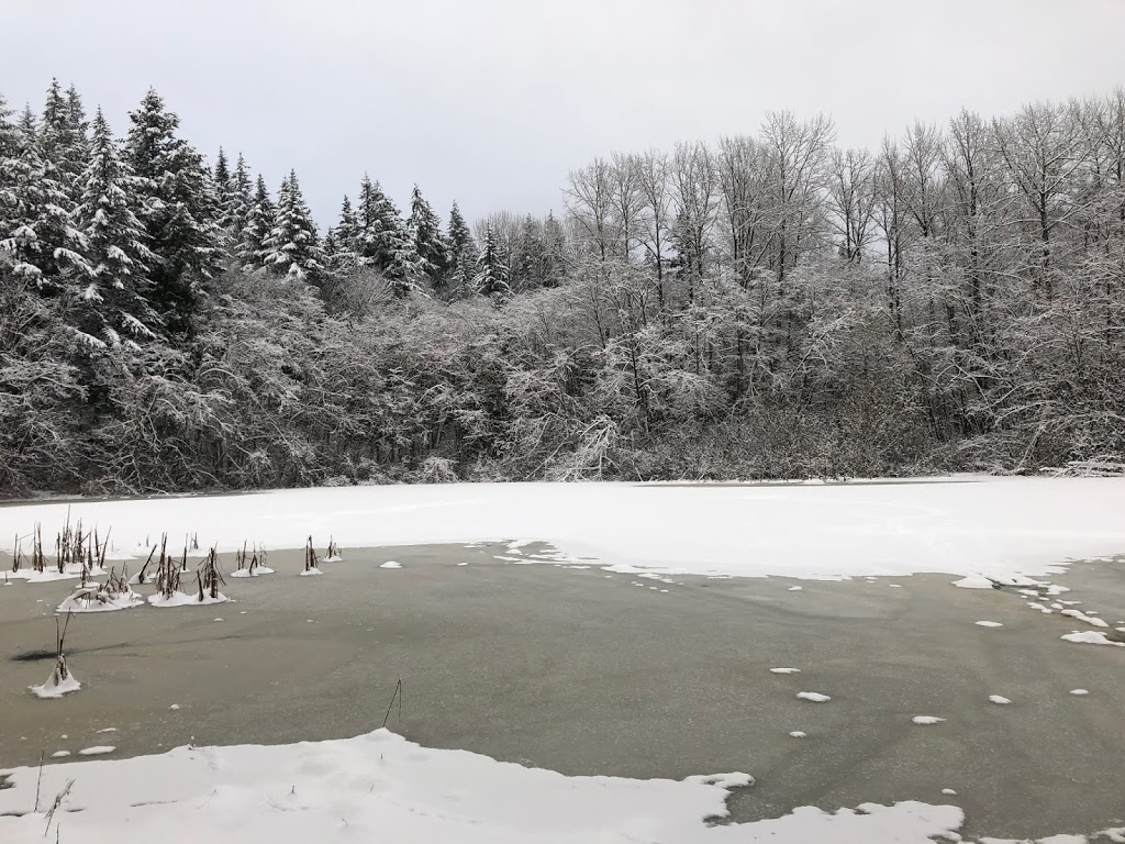 Hoags Pond | Broad St, Bellingham, WA 98225, USA