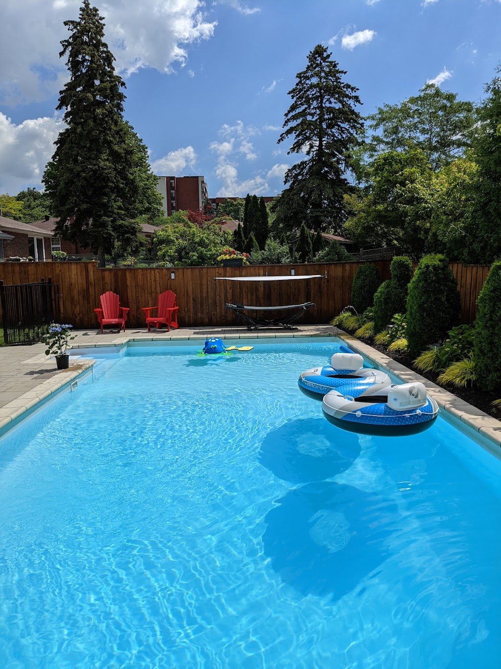 Swimming Pool Rental | 52 Wigmore Dr, North York, ON M4A 2E7, Canada | Phone: (647) 528-0718