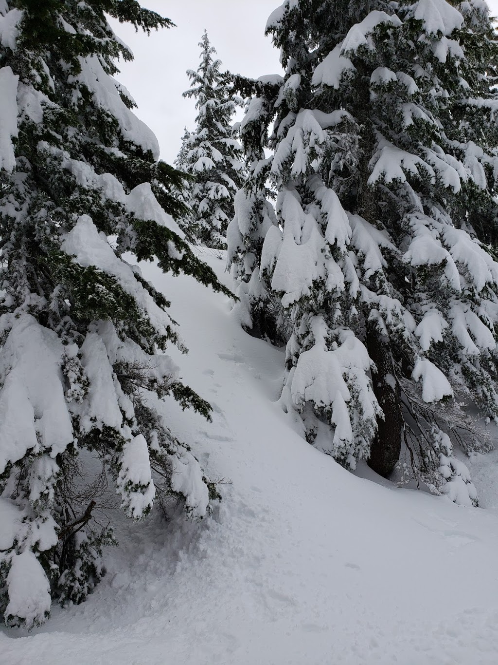 Grouse Grind | Grouse Grind, North Vancouver, BC V7R 4K9, Canada