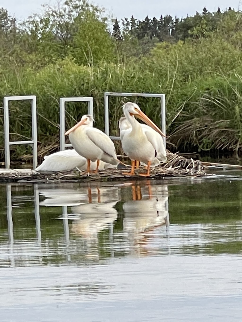 KAYAKOMAT Pigeon Lake Provincial Park, Day Use Area | 15072 Township Rd 470, Pigeon Lake, AB T0C 2C0, Canada | Phone: (780) 514-8751