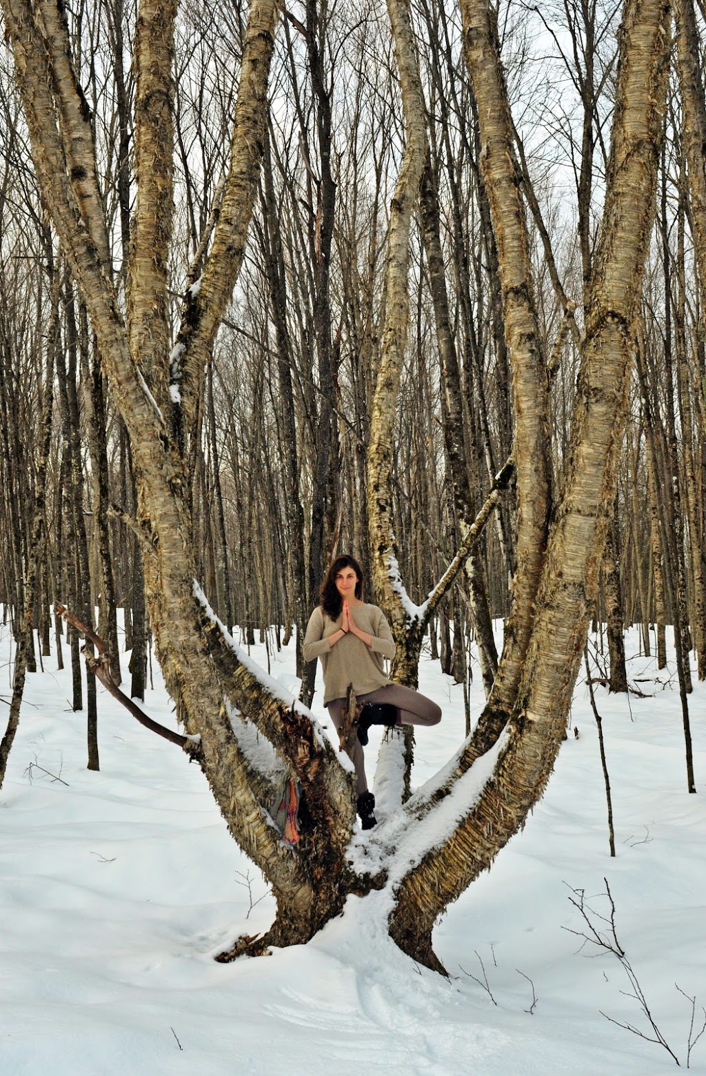 Yoga à la ferme | 540 Chemin Labonté, Cookshire-Eaton, QC J0B 1M0, Canada | Phone: (819) 580-3568