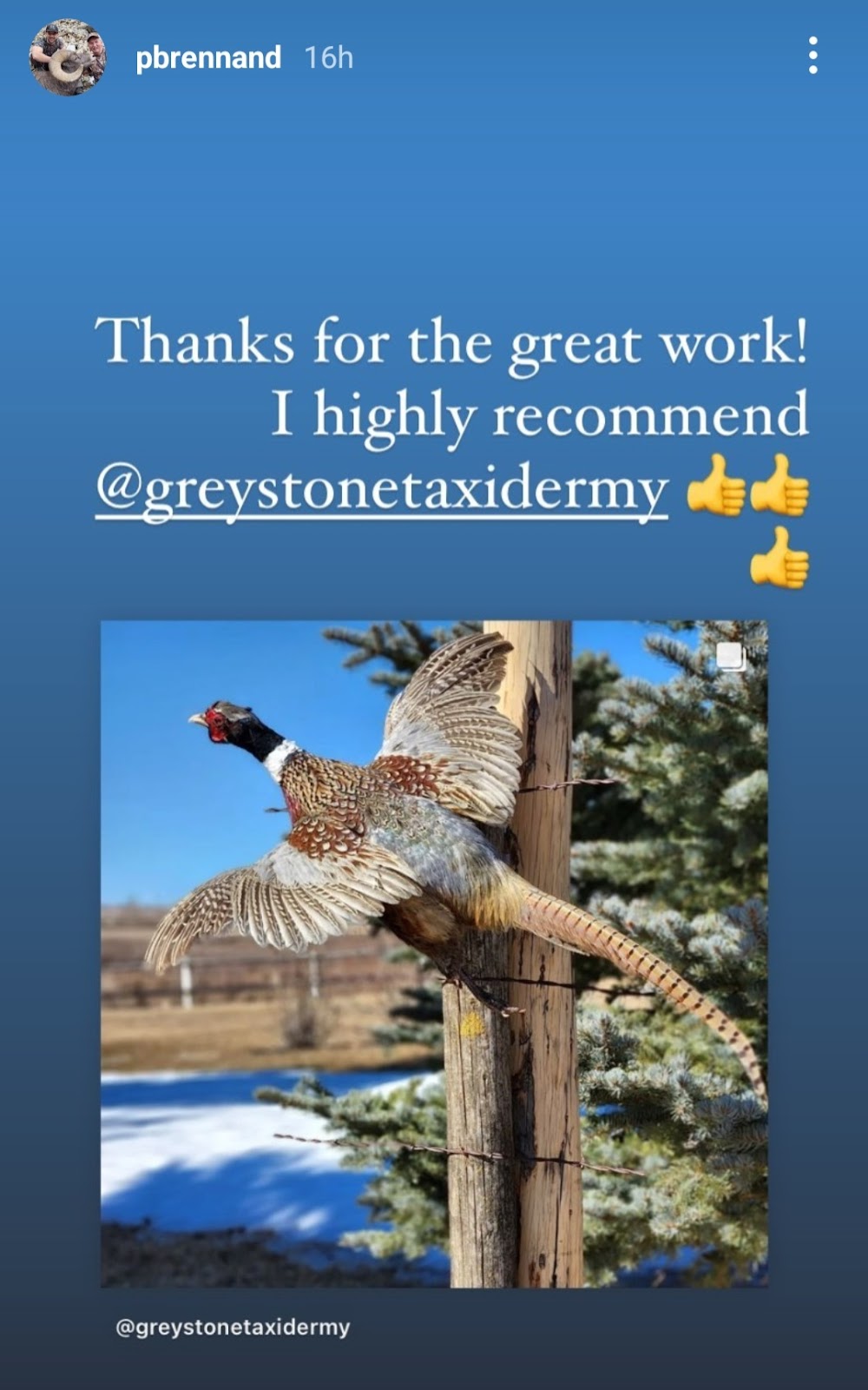 GreyStone Taxidermy | Box 2183, Claresholm, AB T0L 0T0, Canada | Phone: (587) 574-4888