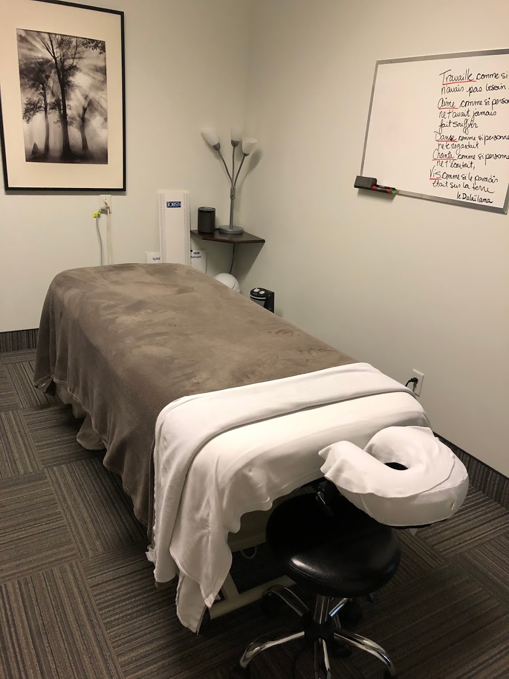 PhysioExtra Terrebonne - Clinique de physiothérapie | 2485 Boulevard des Entreprises, Terrebonne, QC J6X 4J9, Canada | Phone: (450) 477-9931