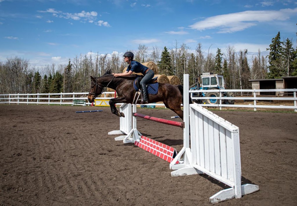 Full Motion Advantage - Equine | RR1, Busby, AB T0G 0H0, Canada | Phone: (780) 720-3448