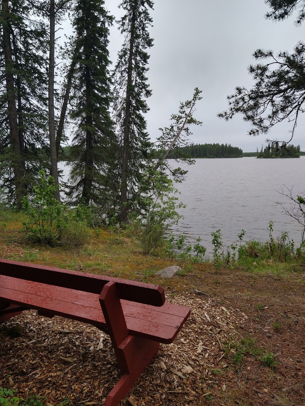 Surprise Lake Camp | 53112 Range Rd 153, Yellowhead County, AB T7E 3C8, Canada | Phone: (780) 974-9557