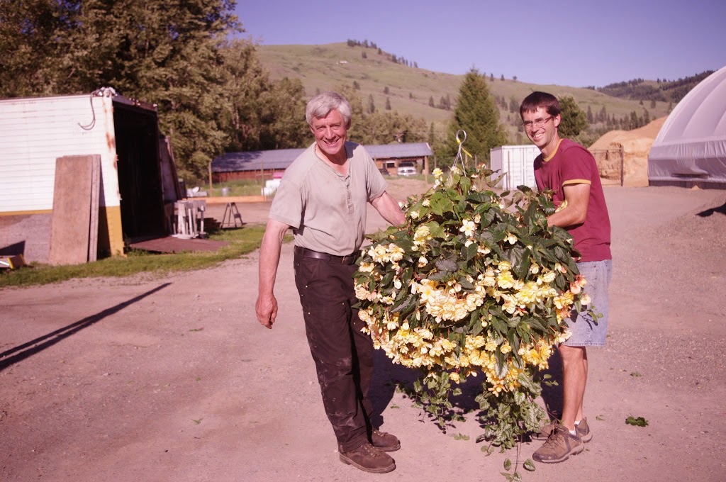 Neufelds Greenhouses | 3305 BC-3, Rock Creek, BC V0H 1Y0, Canada | Phone: (250) 446-2510