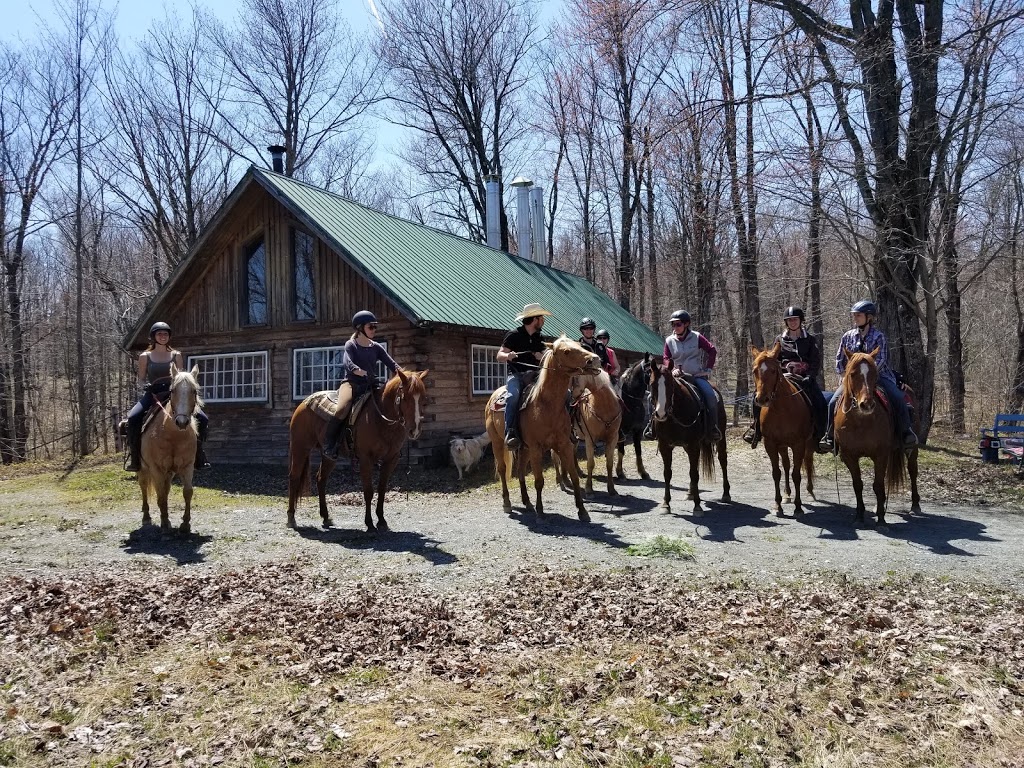 Ranch canadien | 736 Rang 7e N, Sainte-Clotilde-de-Beauce, QC G0N 1C0, Canada | Phone: (418) 814-9503