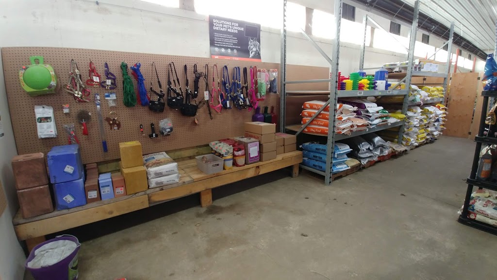 Neigh-Barks Feed & Pet Supply | 20422 Township Rd 502, Kingman, AB T0B 2M0, Beaver County, AB T0B 4J2, Canada | Phone: (780) 800-8031