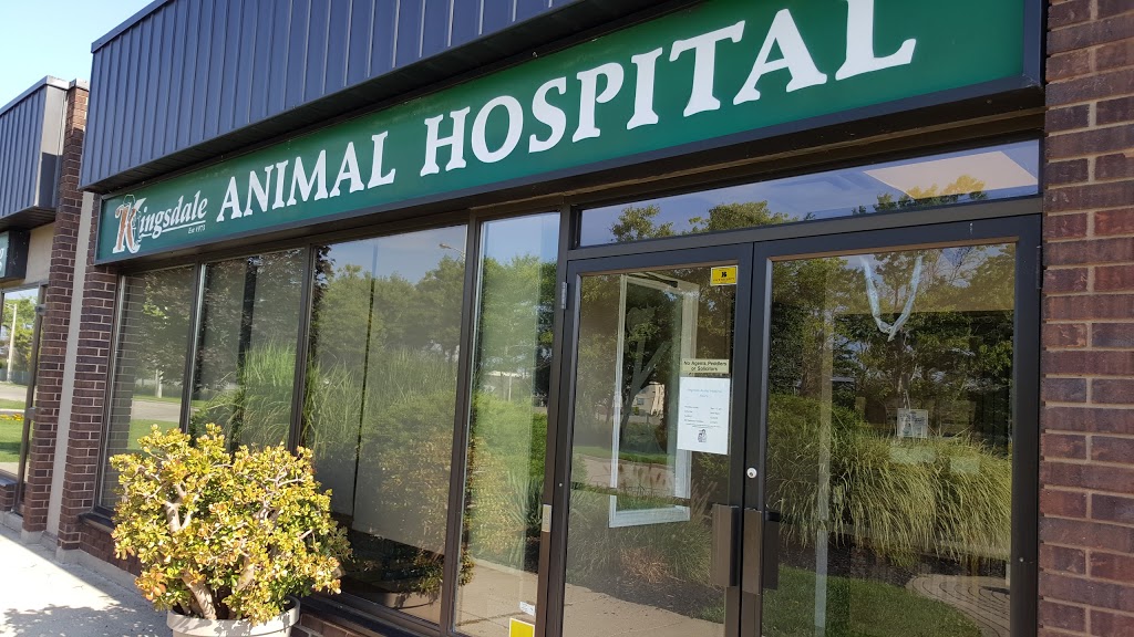 Kingsdale Animal Hospital | 2848 King St E, Kitchener, ON N2A 1A5, Canada | Phone: (519) 896-0532