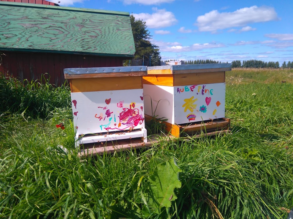 Miel Boréal | 1930 Rang St Paul, La Doré, QC G8J 1C2, Canada | Phone: (800) 868-1162