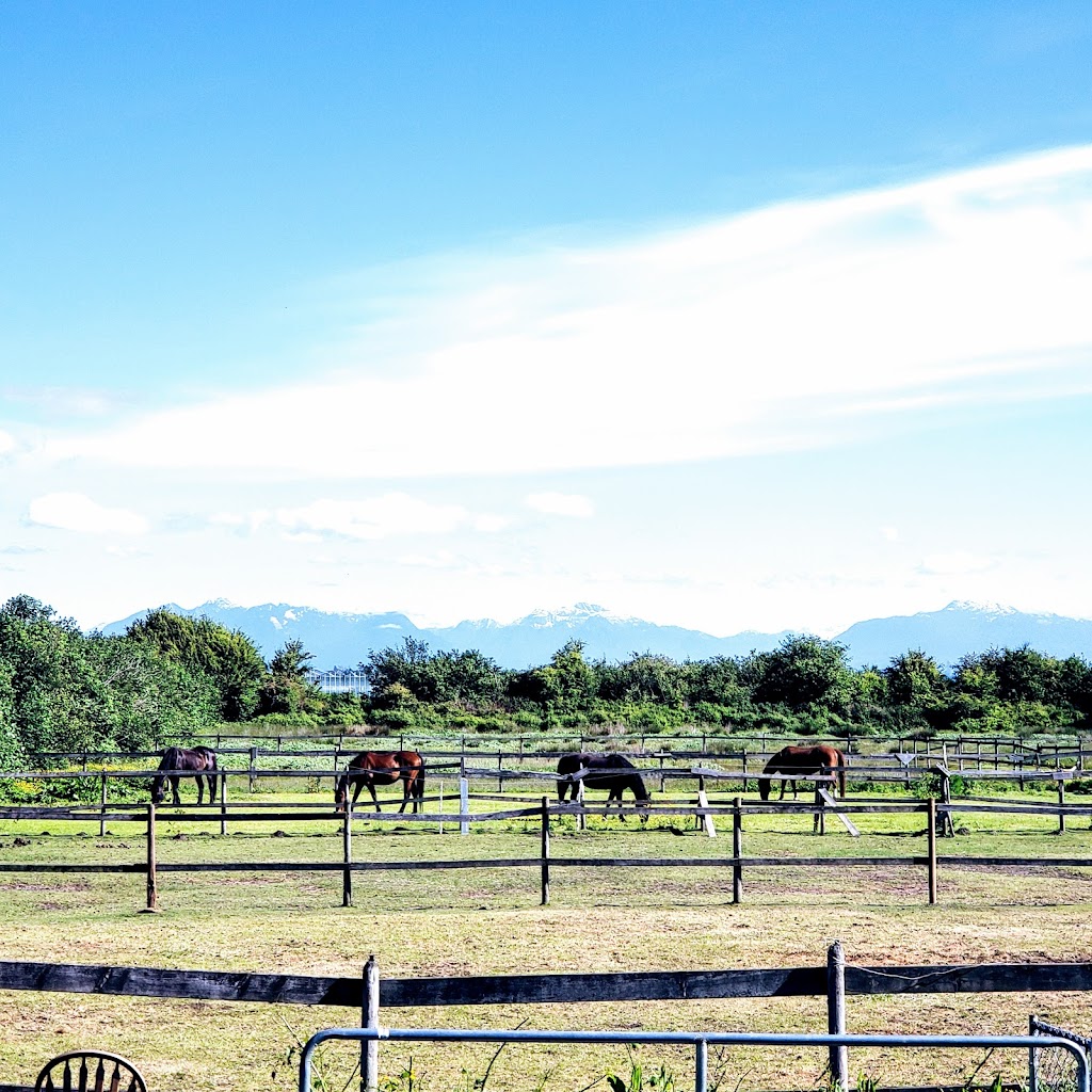 Silver Oaks Farm | 5725 34b Ave, Delta, BC V4L 2P1, Canada | Phone: (604) 240-5402