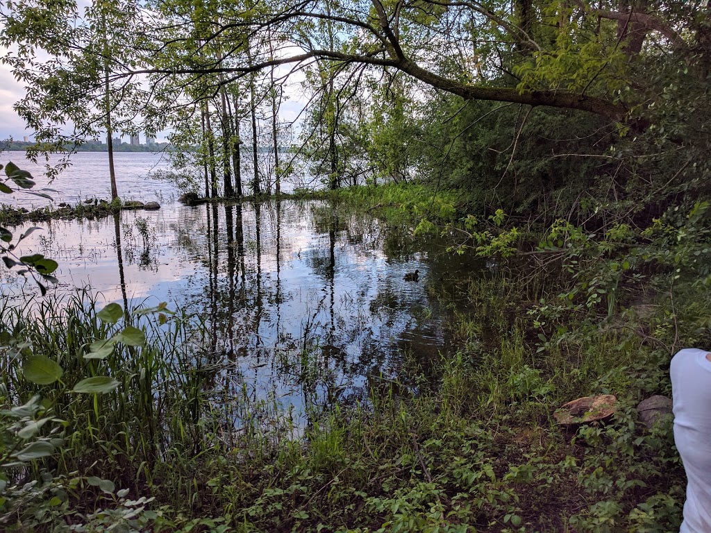 Stromatolites | Sentier des Voyageurs, Gatineau, QC J9H 7K9, Canada