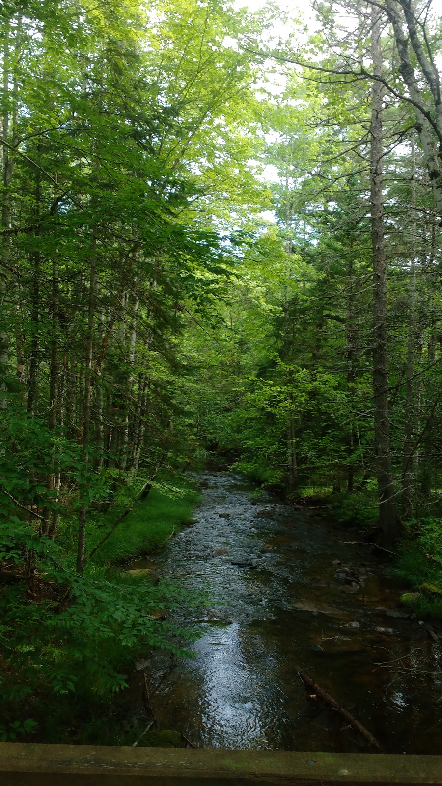 Eldridge Falls | West Hants, NS B0P 1V0, Canada