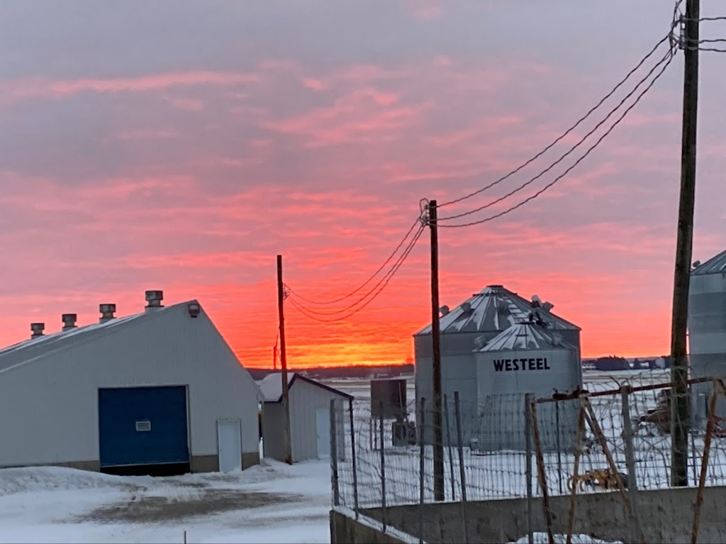 Ferme Rosblais | 138 Rue Ste Geneviève, Saint-Isidore, QC G0S 2S0, Canada | Phone: (581) 984-1952