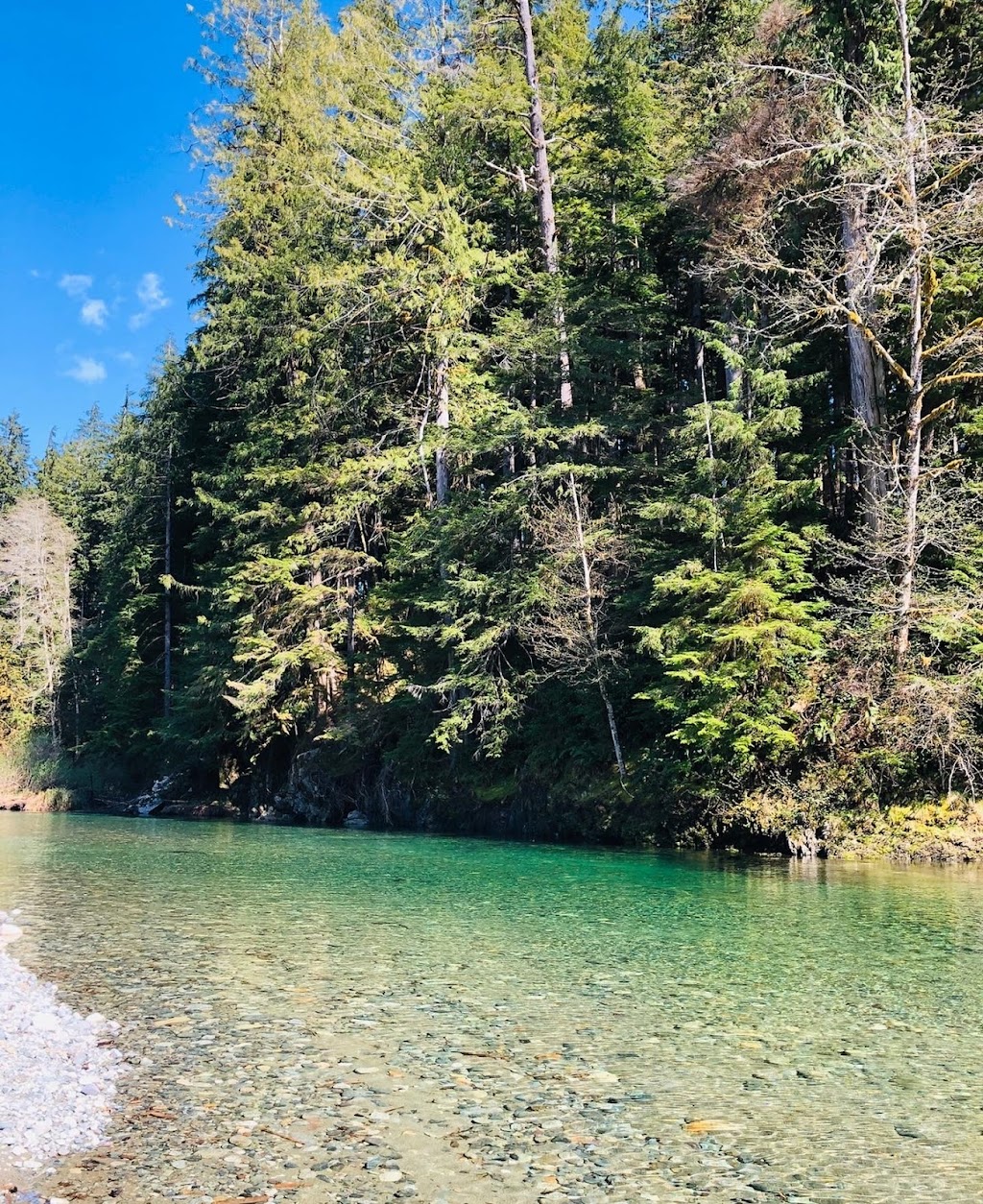 Port Renfrew Visitor Information Centre | 16947 Parkinson Rd B Building, Port Renfrew, BC V0S 1K0, Canada | Phone: (778) 402-2884