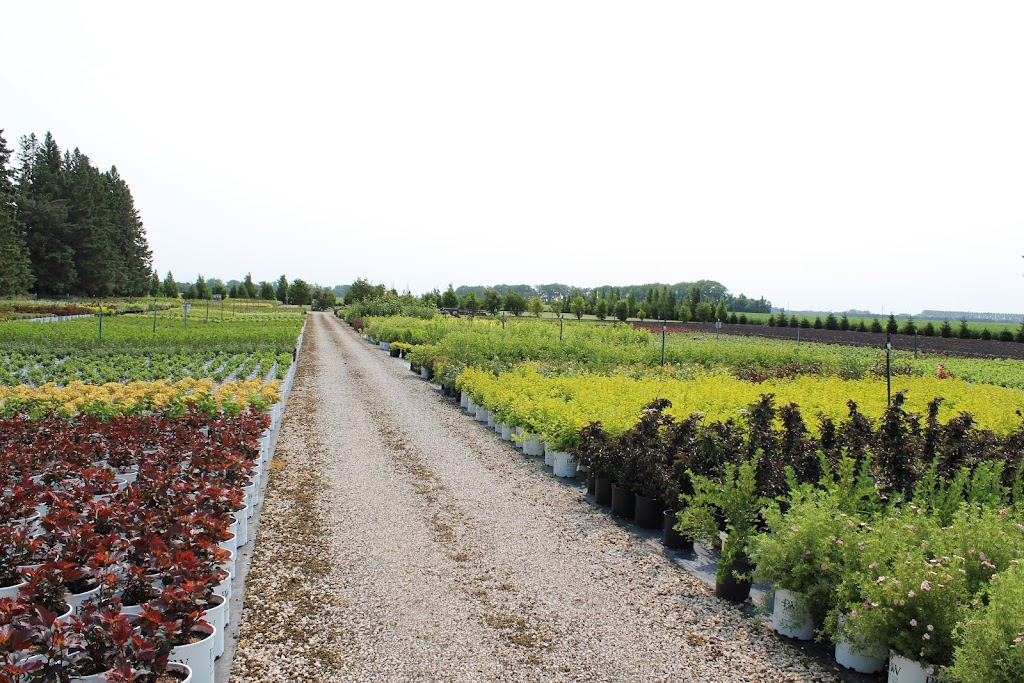 Vanstone Nurseries | 71108 Highway 240 N, MB R1N 3C2, Canada | Phone: (204) 857-8435