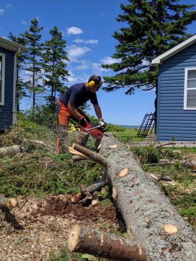 Hunt Ventures Tree Services | 2819 NS-326, Tatamagouche, NS B0K 1V0, Canada | Phone: (902) 957-0902