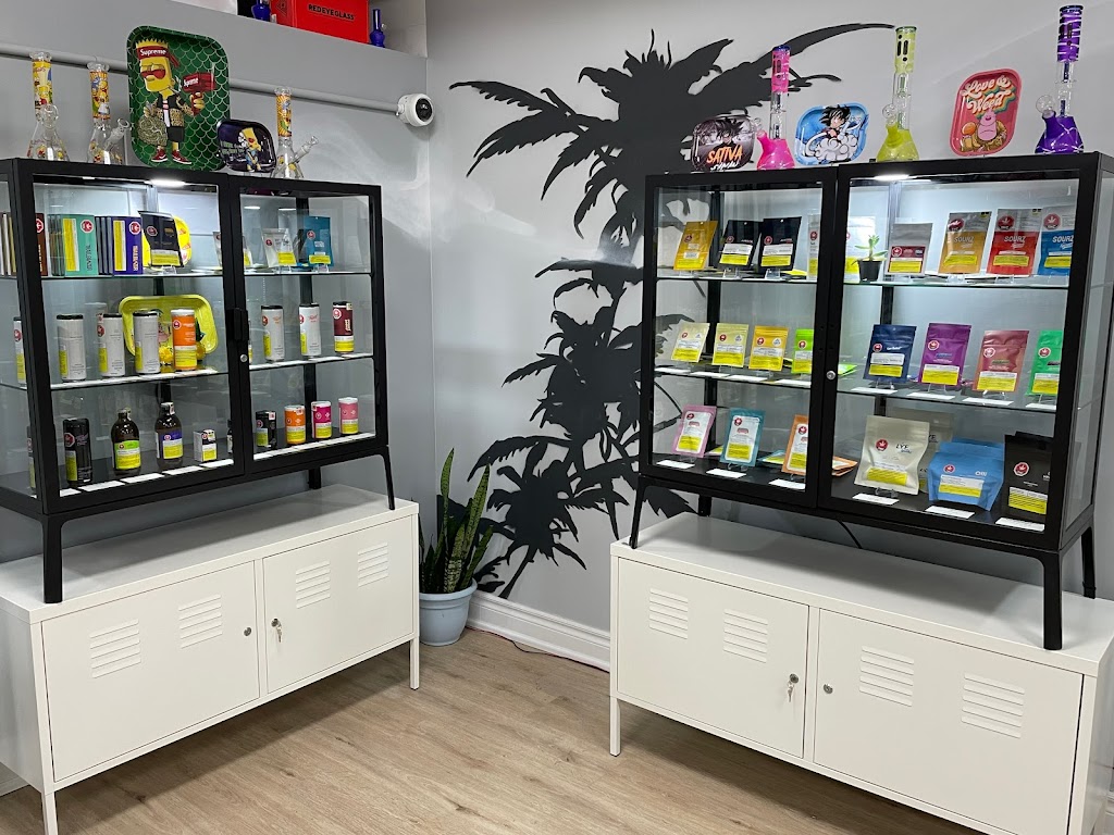 Cannabis Hut | 1715 Victoria Park Ave, Scarborough, ON M1R 1R7, Canada | Phone: (416) 261-9333