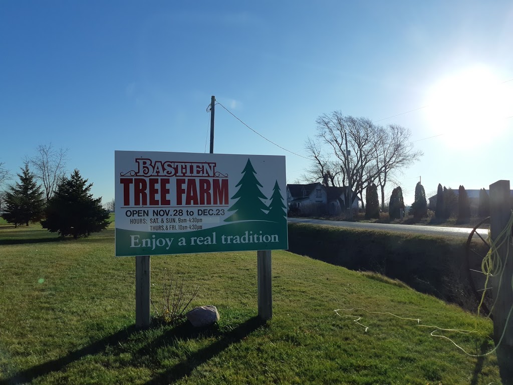 Bastien Christmas Tree Farm | 13106 Concession Rd 13, McGregor, ON N0R 1J0, Canada | Phone: (519) 726-0679