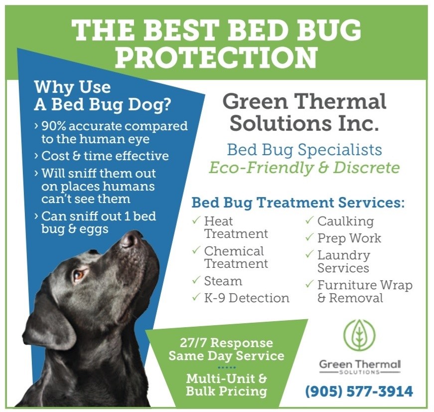 Green Thermal Solutions Inc. | 117 Glen Forest Dr, Hamilton, ON L8K 5Y9, Canada | Phone: (905) 577-3914