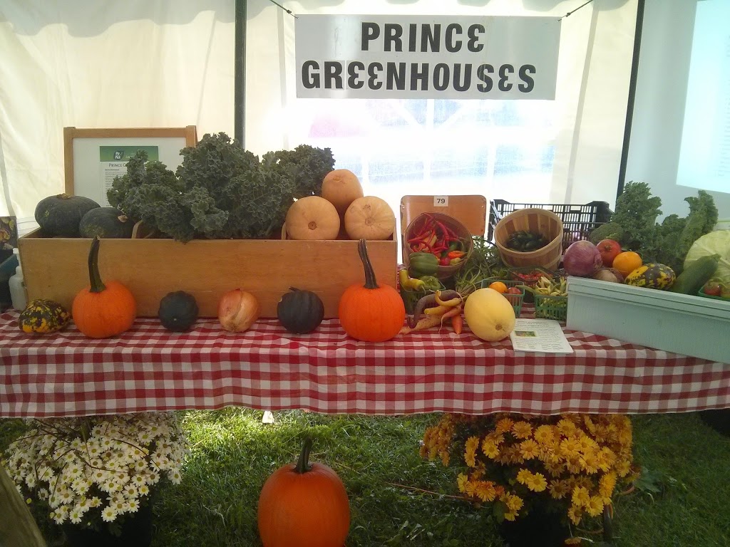 Prince Greenhouses | 687003 Oxford 2, Princeton, ON N0J 1V0, Canada | Phone: (226) 802-4519