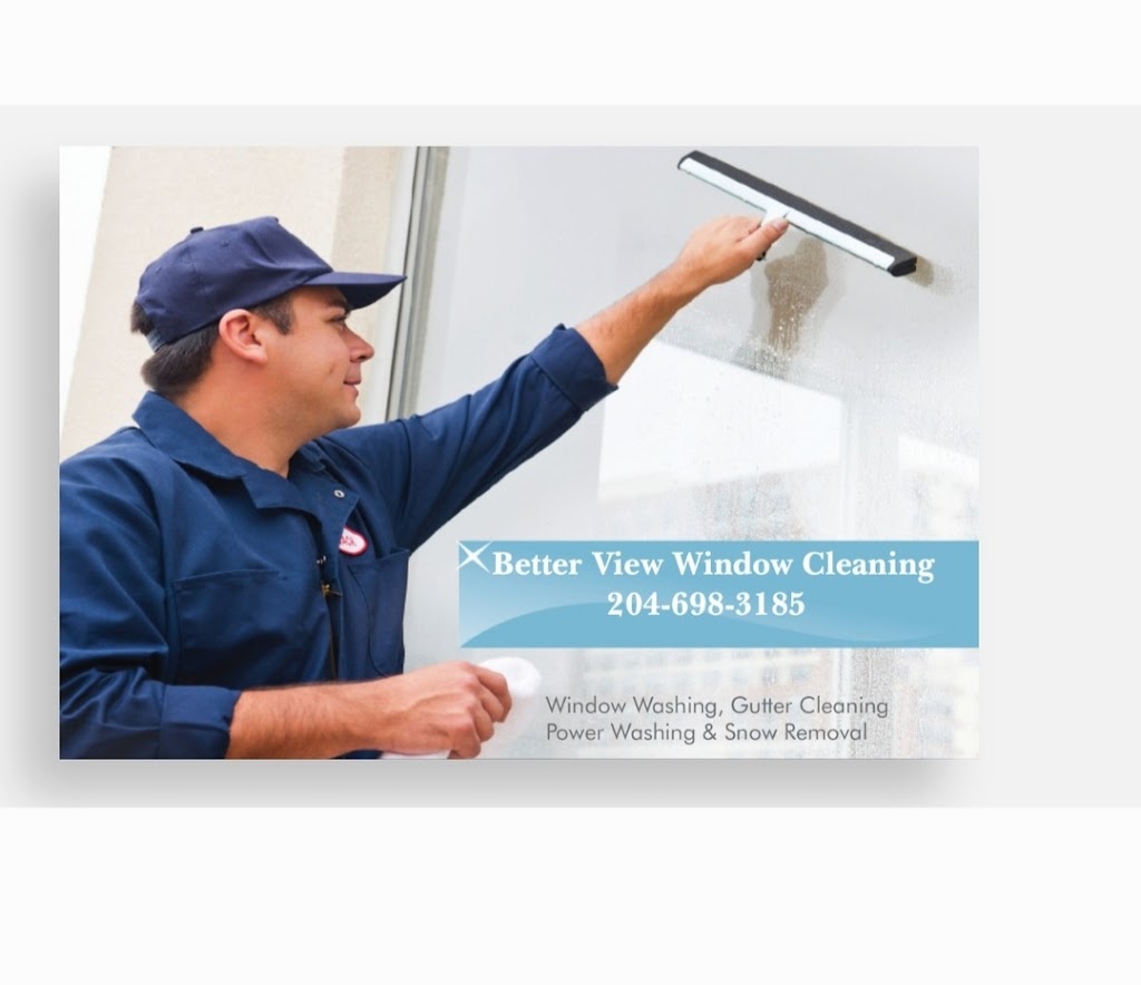 Better View Window Cleaning | 59 Radley Bay, Winnipeg, MB R3W 1H8, Canada | Phone: (204) 698-3185