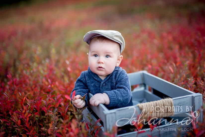 Portraits by Johanna - Photographer in Truro, NS | 319 Salmon River Rd, Valley, NS B6L 4E6, Canada | Phone: (902) 843-5897