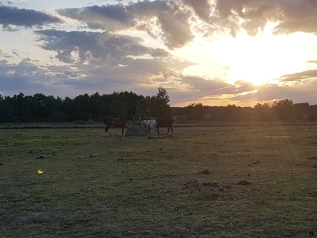 Pine Rock Stables Inc | Anderson Way, Lac du Bonnet, MB R0E 1A0, Canada | Phone: (204) 481-7774